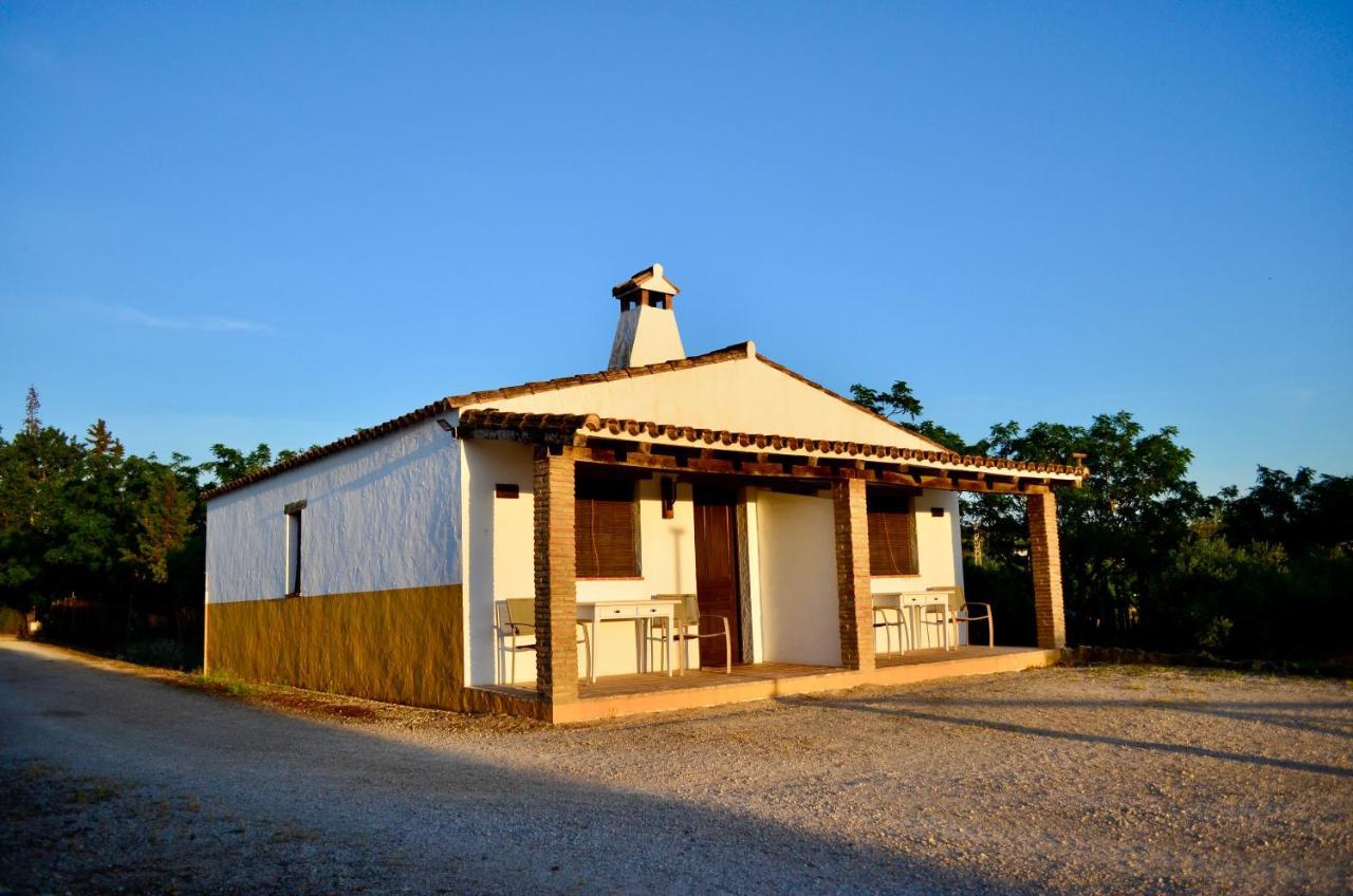 Гостевой дом Cortijo Mesa De La Plata Аркос де ла Фронтера Экстерьер фото