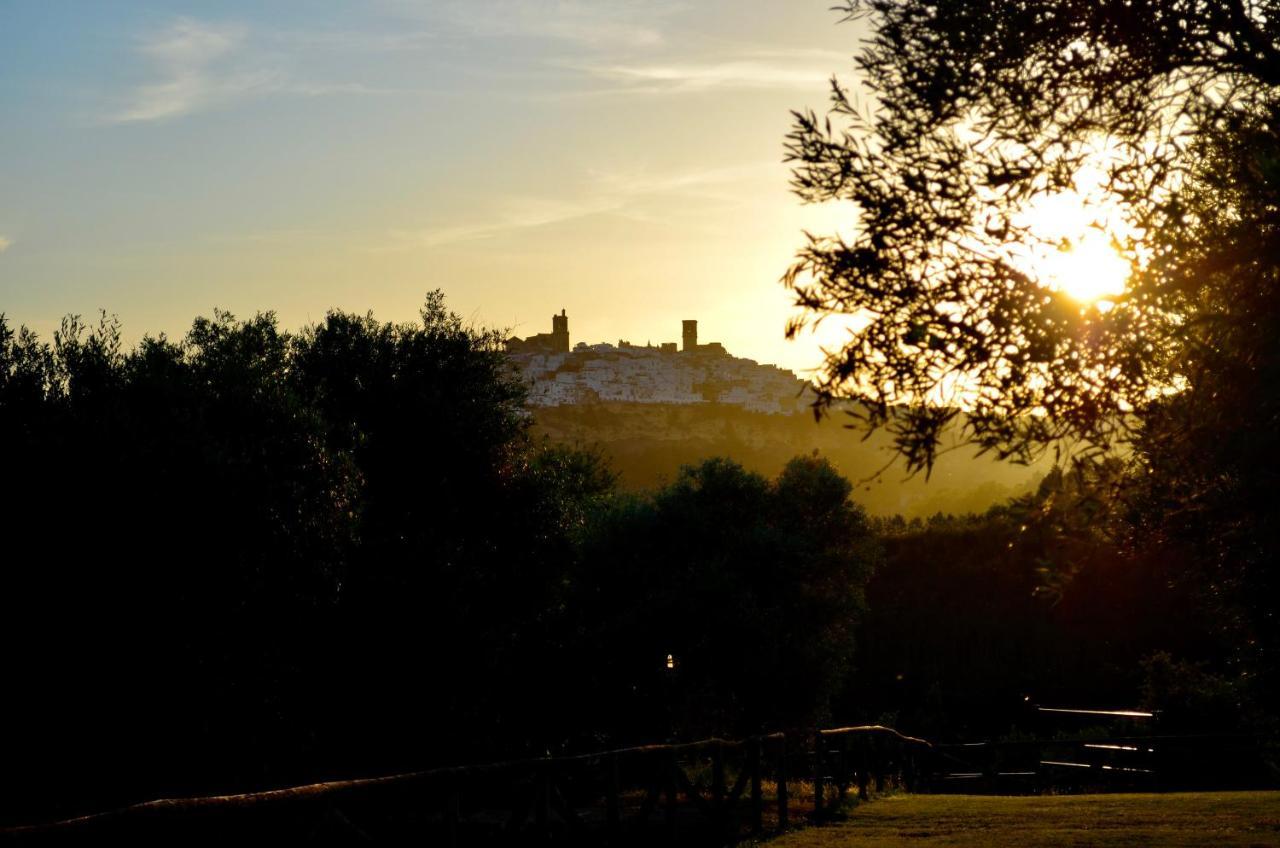 Гостевой дом Cortijo Mesa De La Plata Аркос де ла Фронтера Экстерьер фото