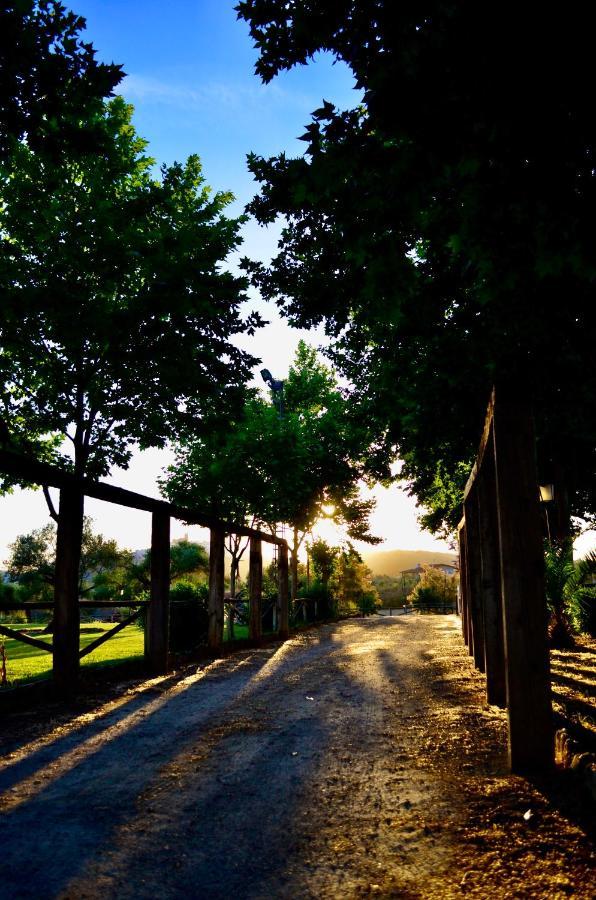 Гостевой дом Cortijo Mesa De La Plata Аркос де ла Фронтера Экстерьер фото