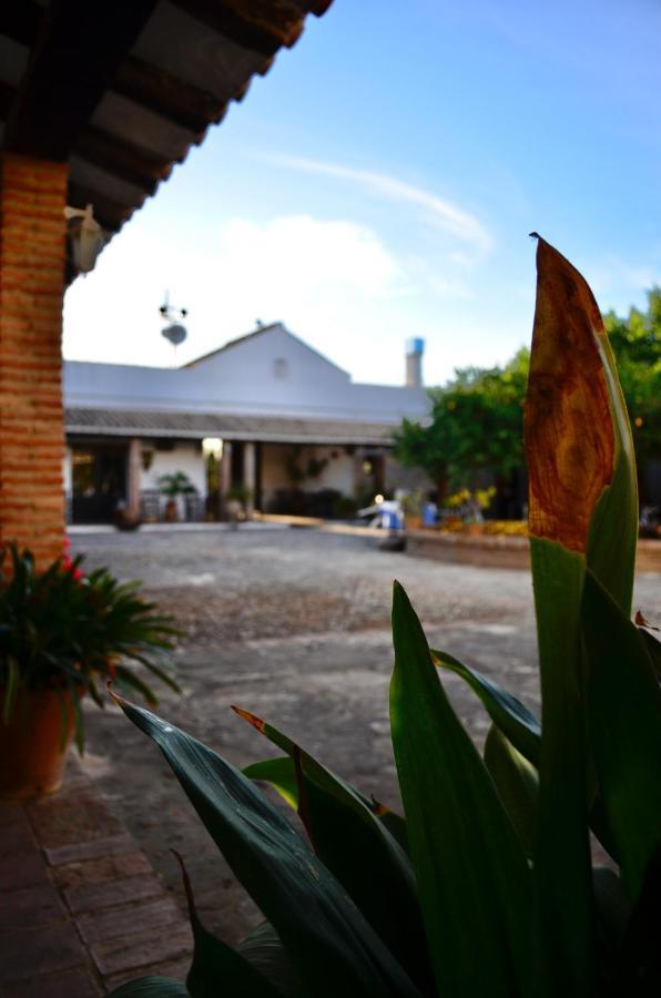 Гостевой дом Cortijo Mesa De La Plata Аркос де ла Фронтера Экстерьер фото